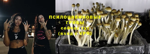 бошки Нефтегорск