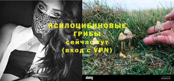 бошки Нефтегорск