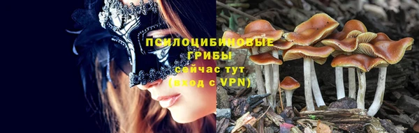 дурь Навашино