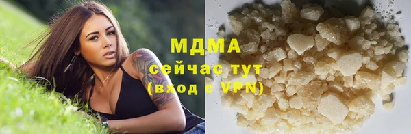 сатива Надым