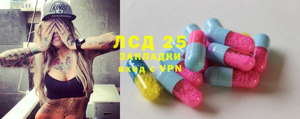 сатива Надым