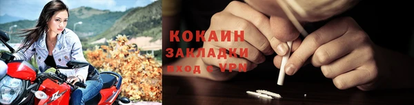 сатива Надым