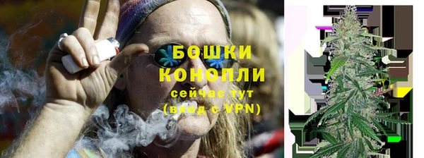 сатива Надым