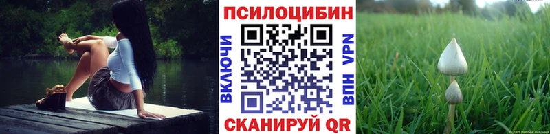 Галлюциногенные грибы Cubensis  Кировград 